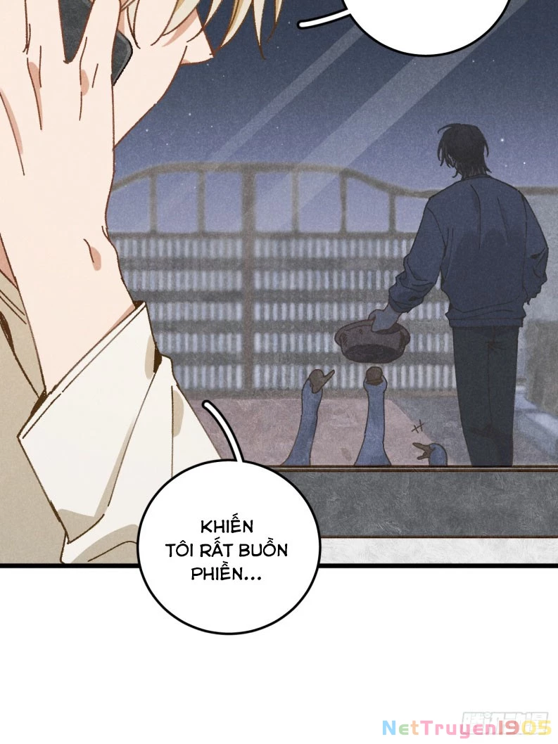 Tôi Không Cùng Anh Đến Vùng Đất Bắp Ngô Đâu! Chapter 35 - 46