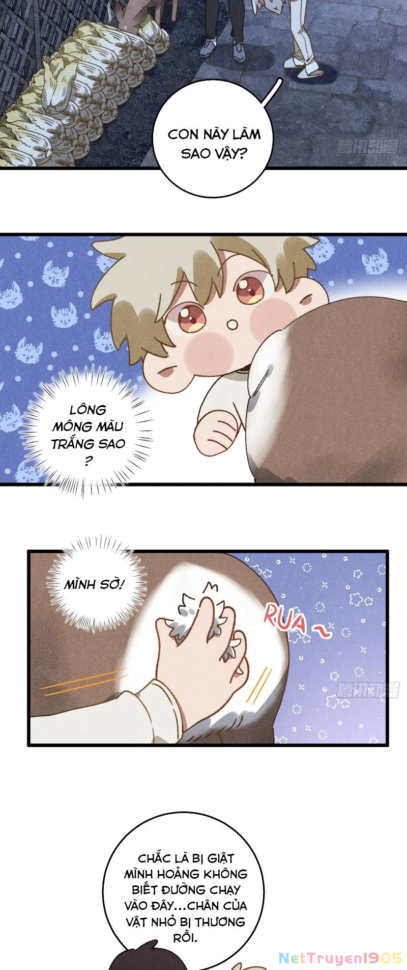 Tôi Không Cùng Anh Đến Vùng Đất Bắp Ngô Đâu! Chapter 36 - 5