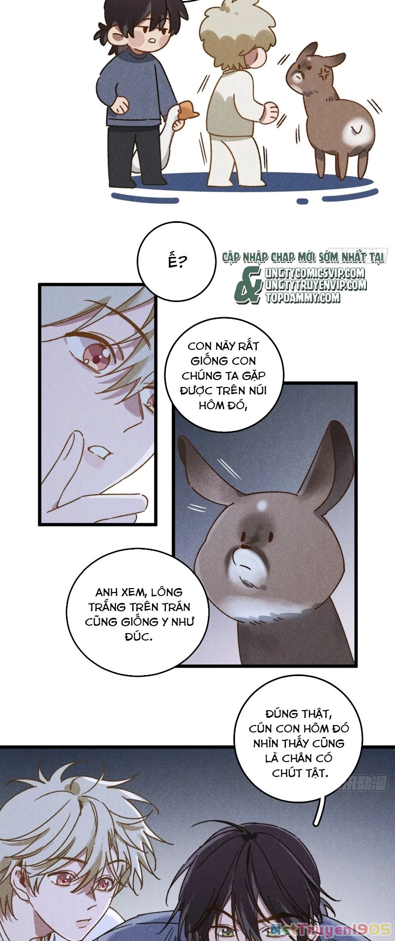 Tôi Không Cùng Anh Đến Vùng Đất Bắp Ngô Đâu! Chapter 36 - 6