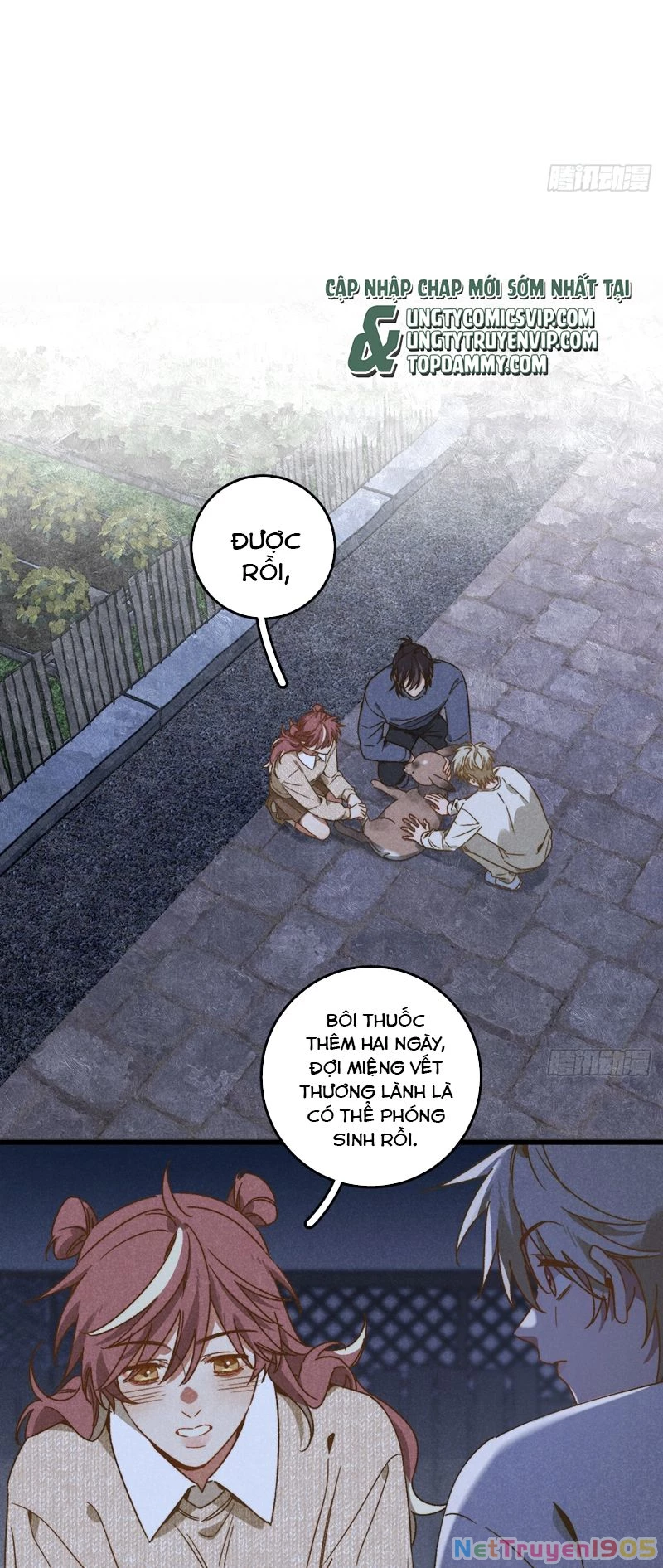Tôi Không Cùng Anh Đến Vùng Đất Bắp Ngô Đâu! Chapter 36 - 17