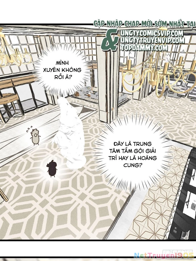 Tôi Không Cùng Anh Đến Vùng Đất Bắp Ngô Đâu! Chapter 38 - 8