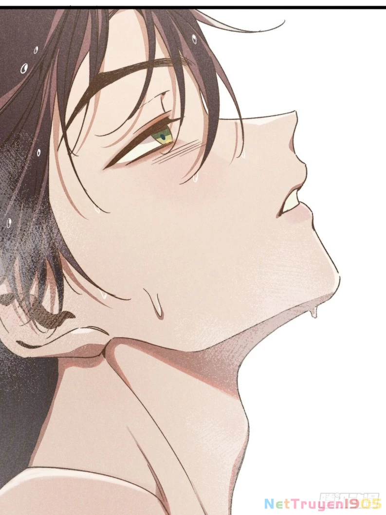 Tôi Không Cùng Anh Đến Vùng Đất Bắp Ngô Đâu! Chapter 38 - 31