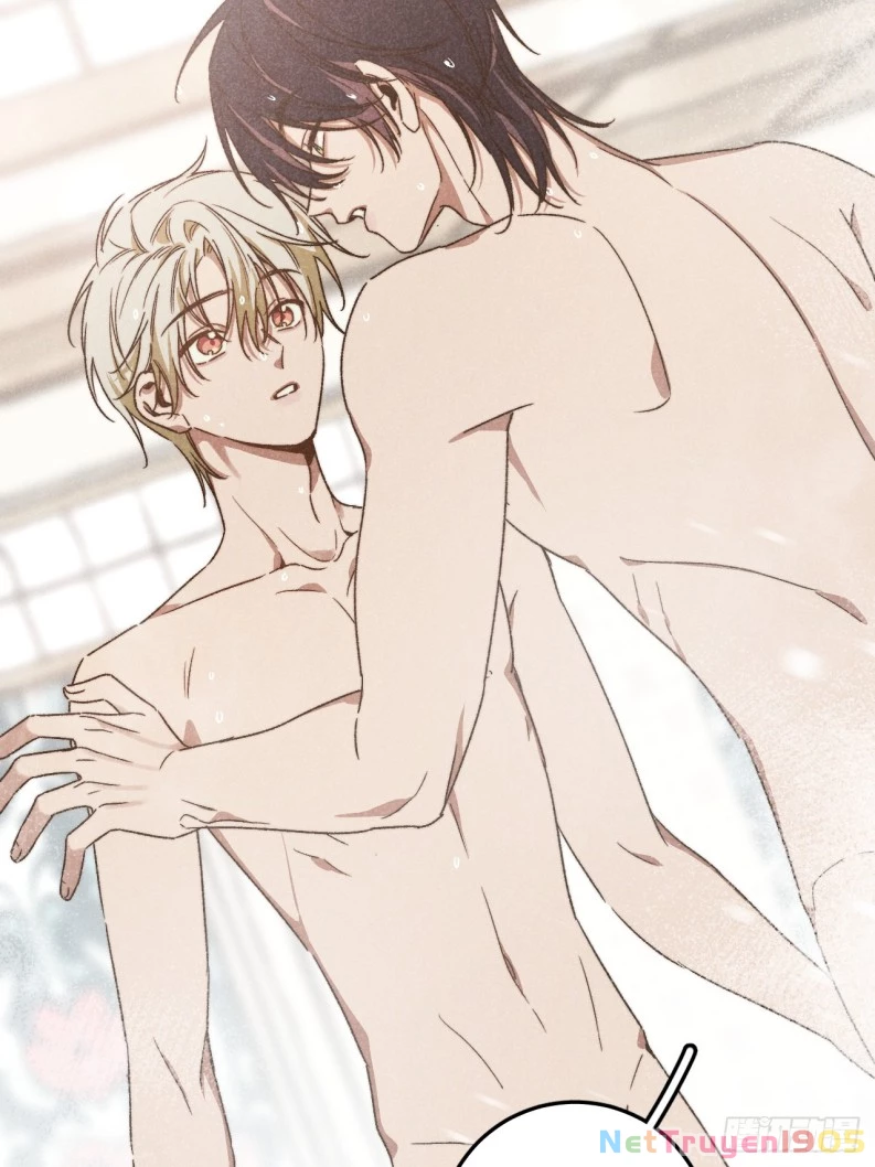 Tôi Không Cùng Anh Đến Vùng Đất Bắp Ngô Đâu! Chapter 38 - 38