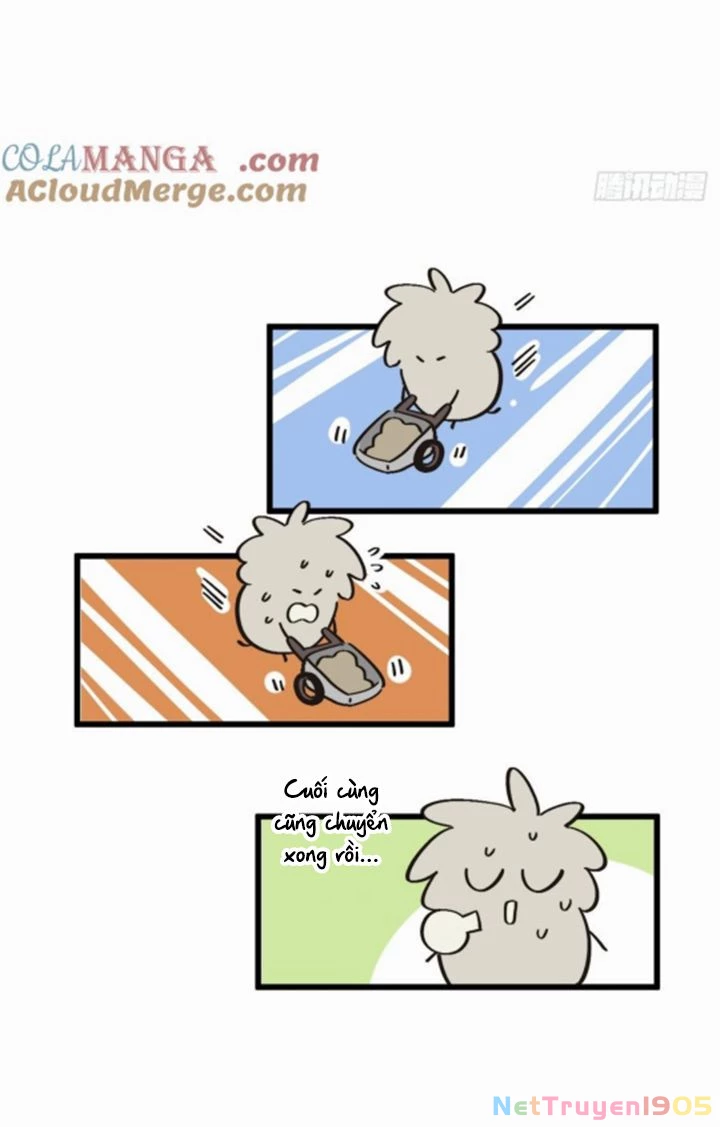 Tôi Không Cùng Anh Đến Vùng Đất Bắp Ngô Đâu! Chapter 49 - 15