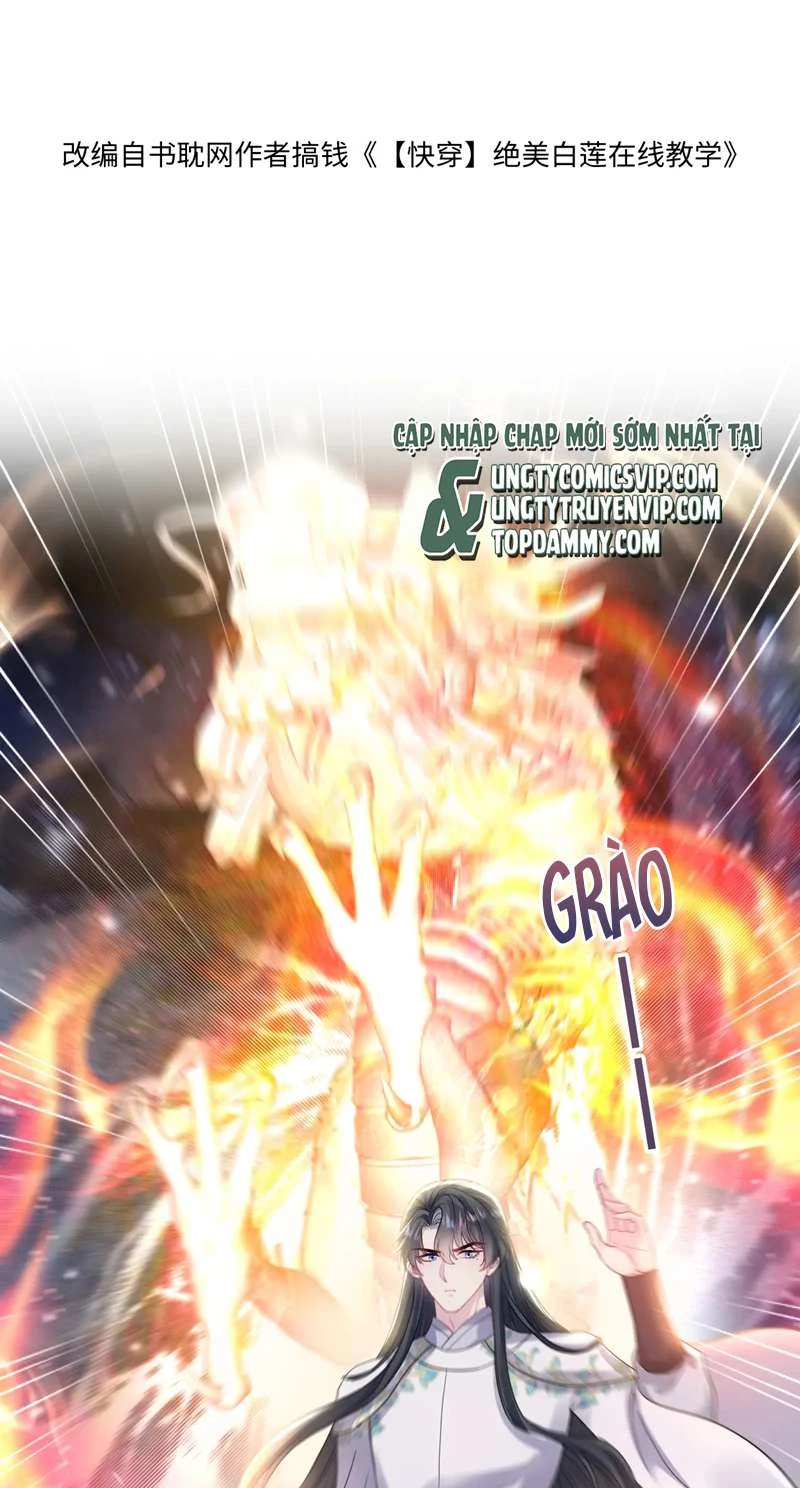 Tuyệt Mỹ Bạch Liên Online Dạy Học Chapter 182 - 2