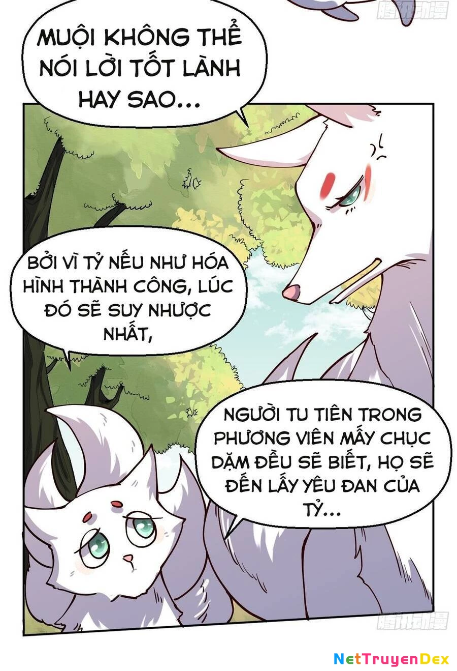 Nguyên Lai Ta Là Tu Tiên Đại Lão Chapter 18 - 11