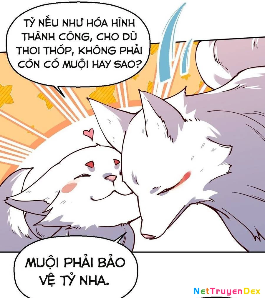 Nguyên Lai Ta Là Tu Tiên Đại Lão Chapter 18 - 12