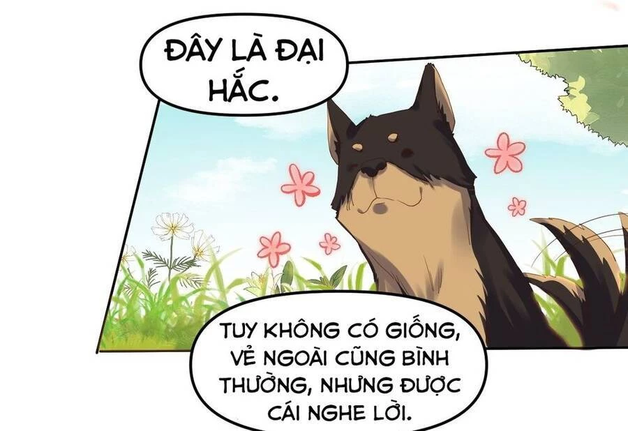 Nguyên Lai Ta Là Tu Tiên Đại Lão Chapter 21 - 28