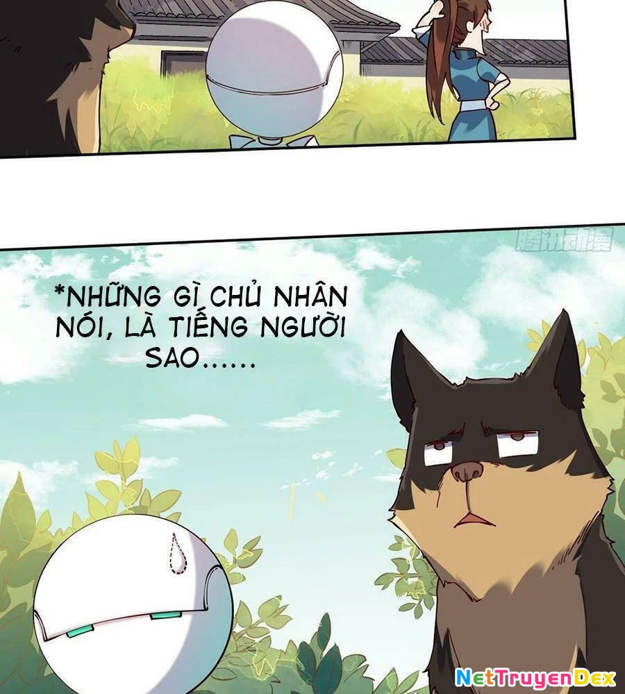 Nguyên Lai Ta Là Tu Tiên Đại Lão Chapter 22 - 15