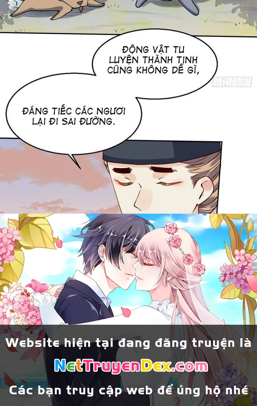 Nguyên Lai Ta Là Tu Tiên Đại Lão Chapter 22 - 97