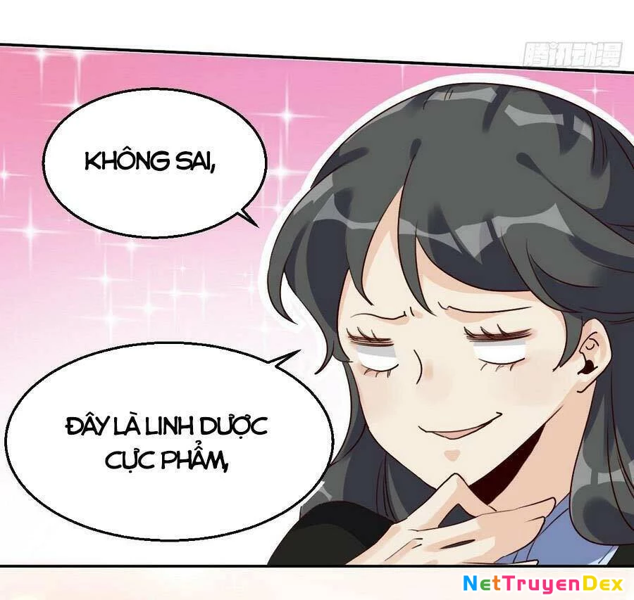 Nguyên Lai Ta Là Tu Tiên Đại Lão Chapter 23 - 25