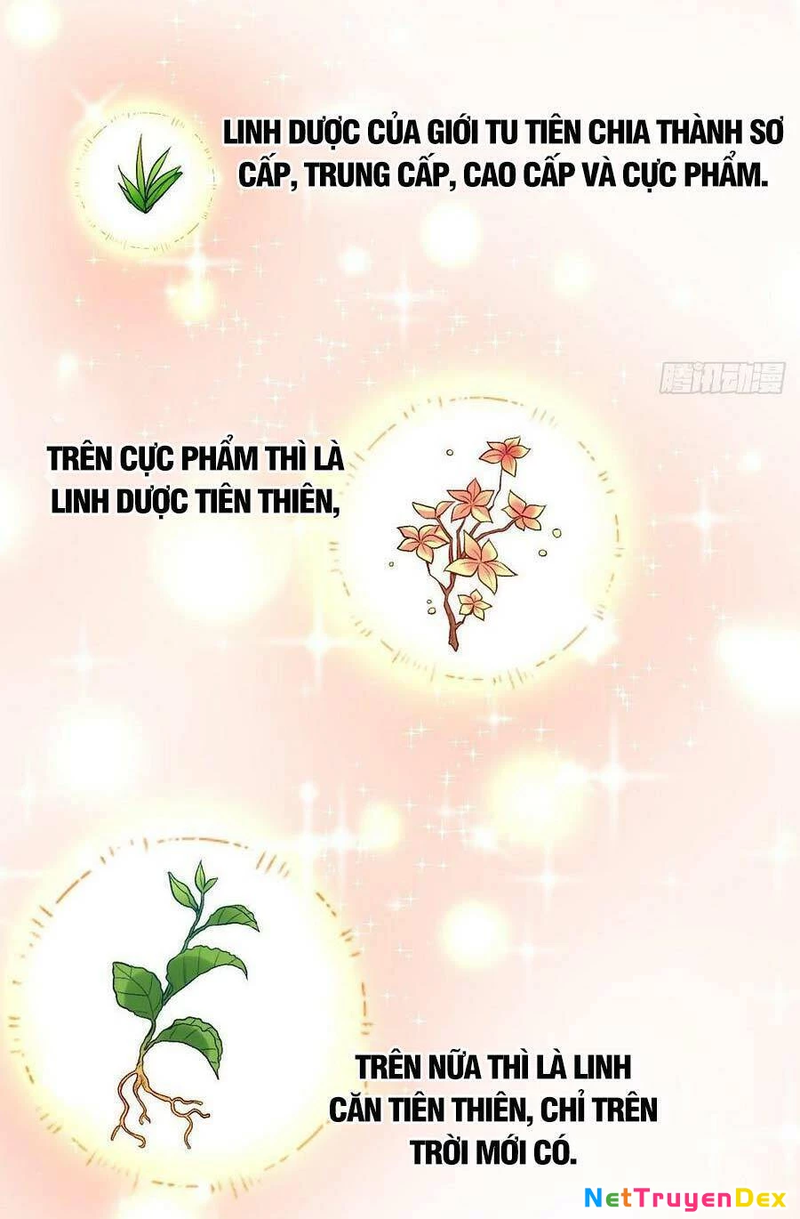 Nguyên Lai Ta Là Tu Tiên Đại Lão Chapter 23 - 26