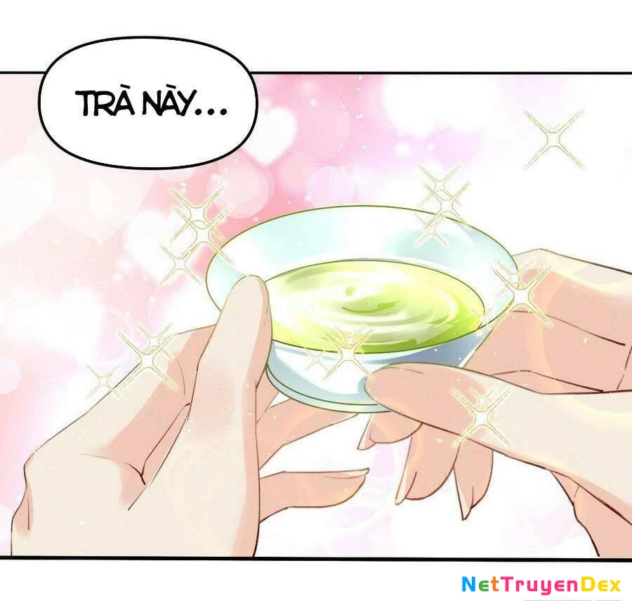 Nguyên Lai Ta Là Tu Tiên Đại Lão Chapter 25 - 43