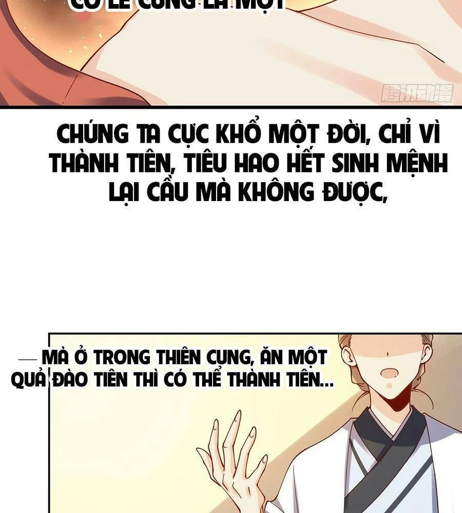 Nguyên Lai Ta Là Tu Tiên Đại Lão Chapter 27 - 27