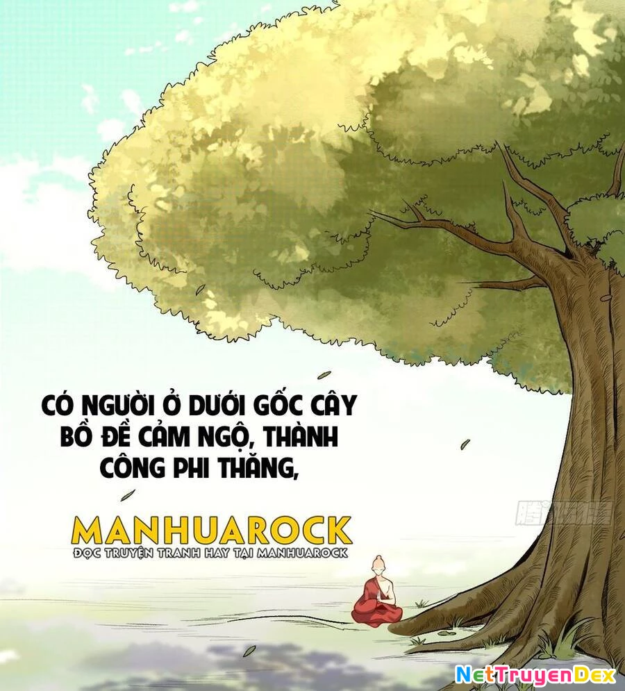 Nguyên Lai Ta Là Tu Tiên Đại Lão Chapter 30 - 14
