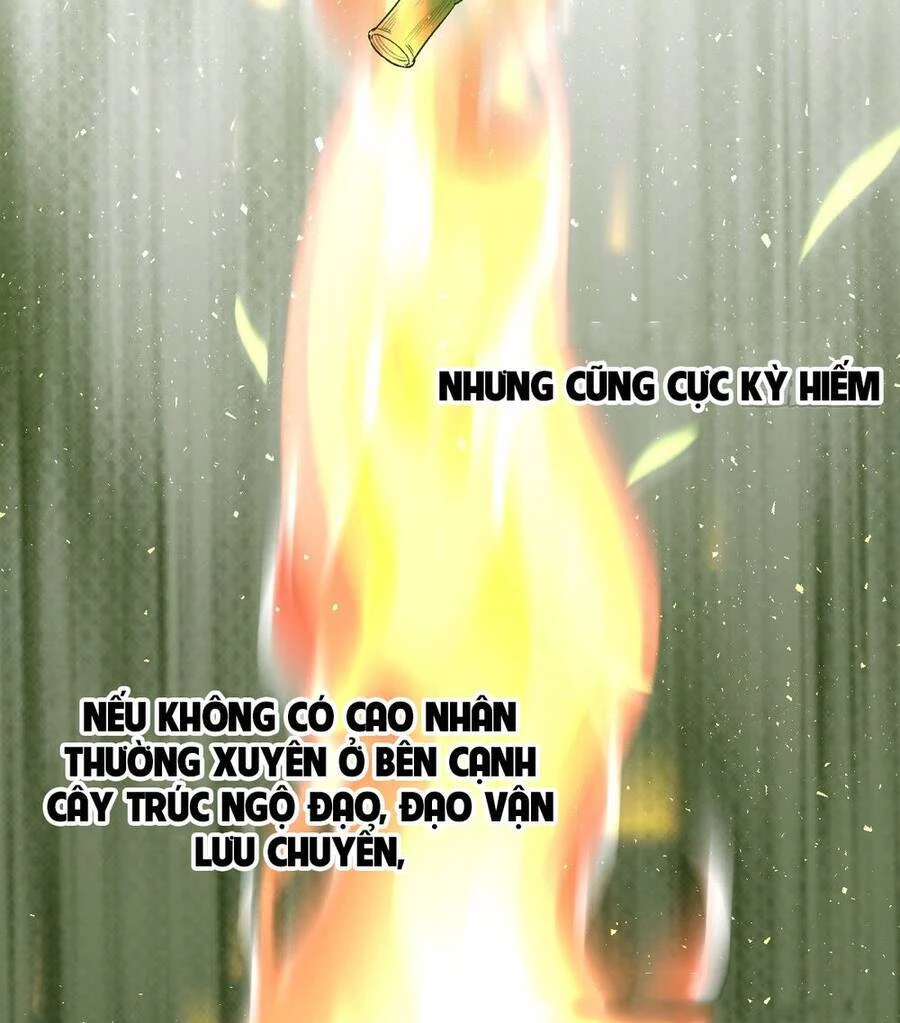 Nguyên Lai Ta Là Tu Tiên Đại Lão Chapter 30 - 17