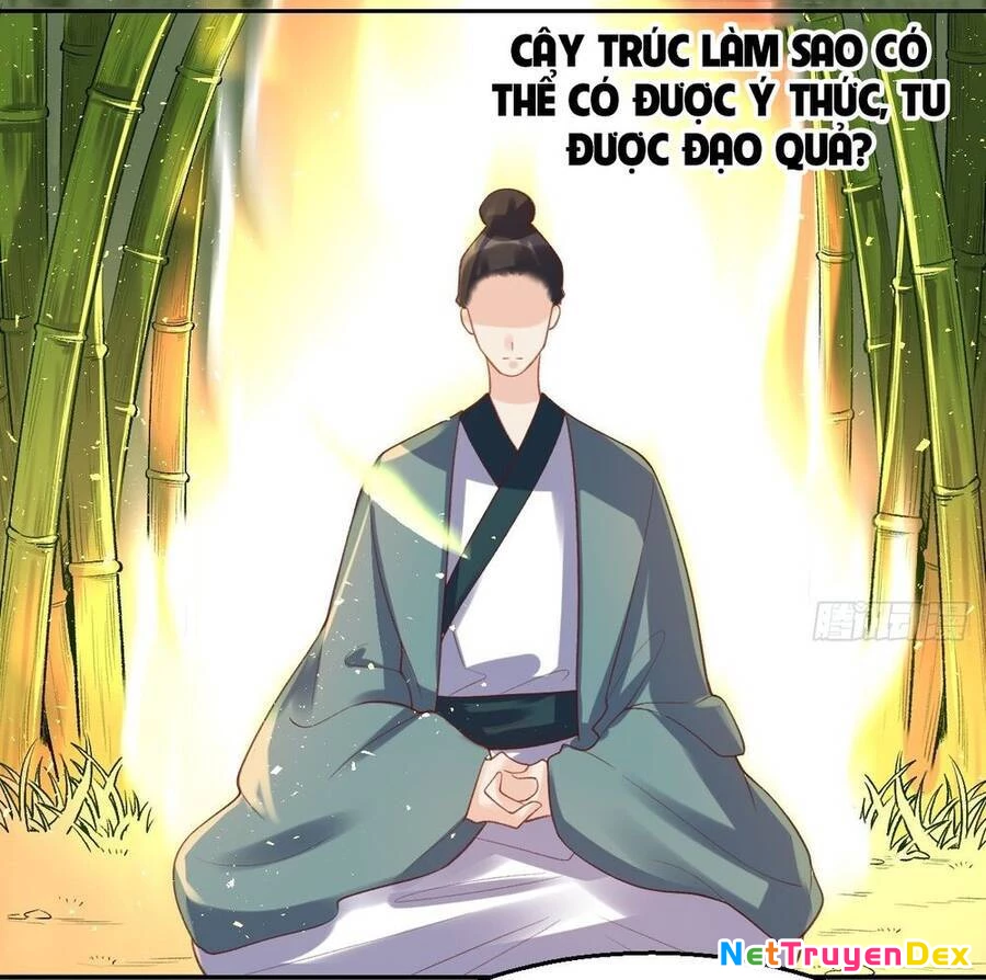 Nguyên Lai Ta Là Tu Tiên Đại Lão Chapter 30 - 18