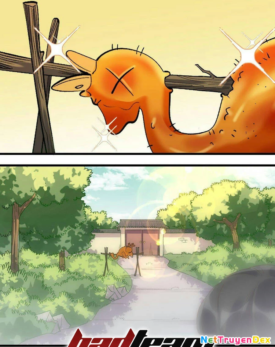 Nguyên Lai Ta Là Tu Tiên Đại Lão Chapter 42 - 4