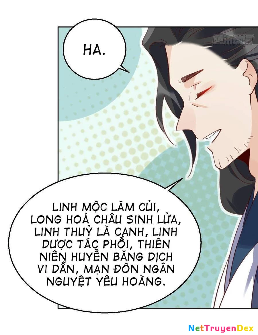 Nguyên Lai Ta Là Tu Tiên Đại Lão Chapter 43 - 14