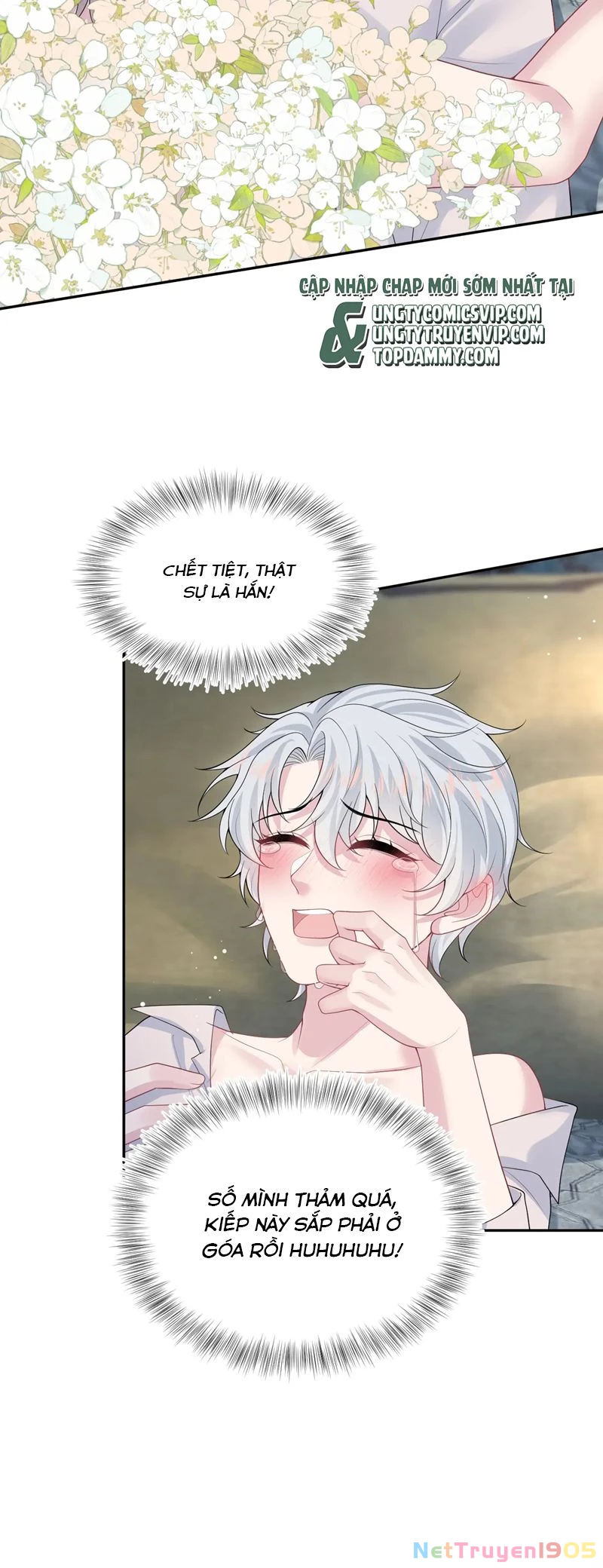 Tuyệt Mỹ Bạch Liên Online Dạy Học Chapter 324 - 2