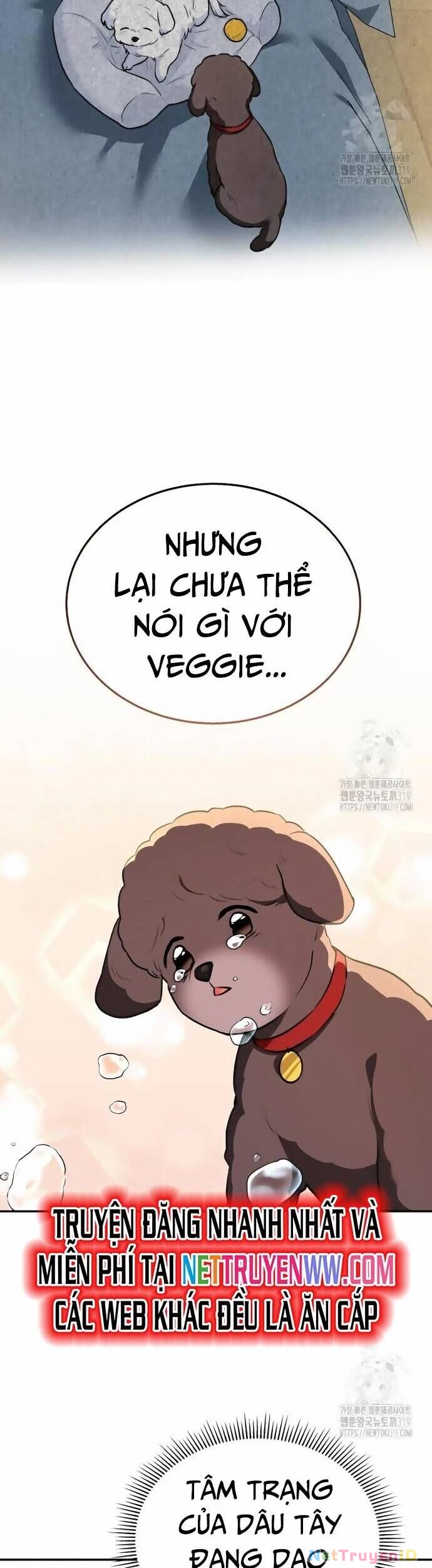 Xin Chào! Bác Sĩ Thú Y Chapter 34 - 39