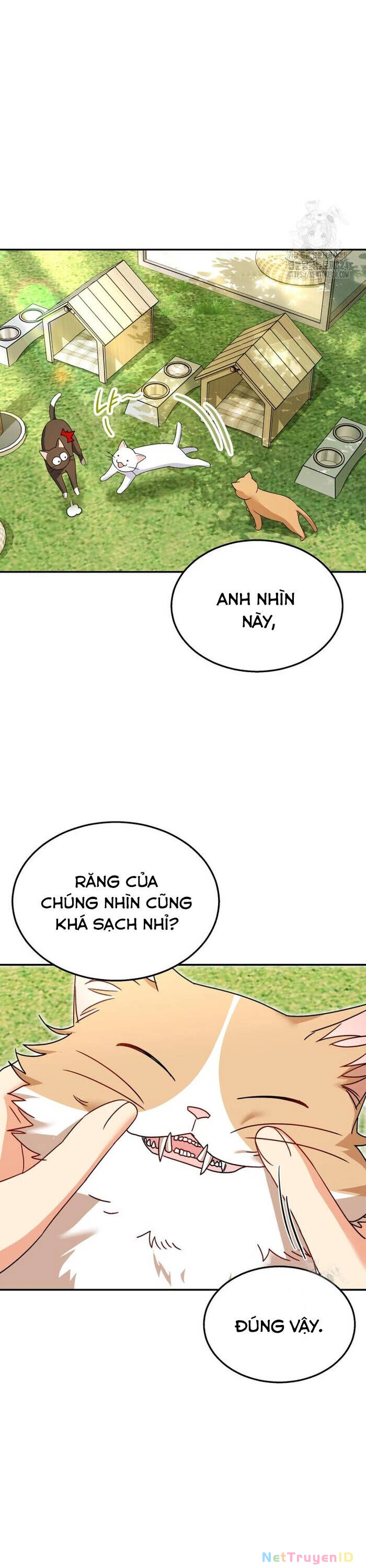 Xin Chào! Bác Sĩ Thú Y Chapter 40 - 14
