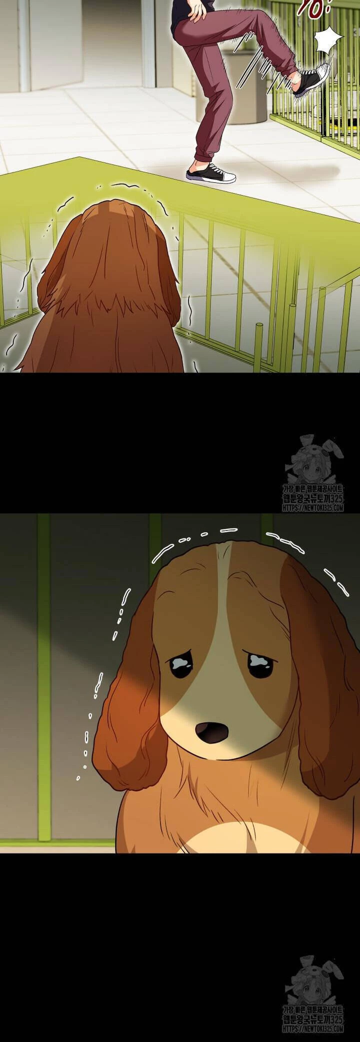 Xin Chào! Bác Sĩ Thú Y Chapter 43 - 12