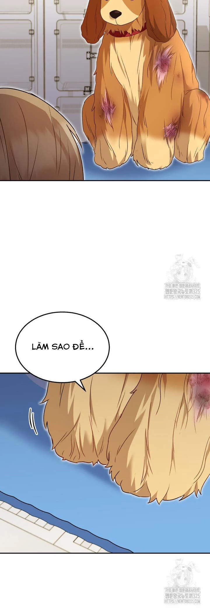 Xin Chào! Bác Sĩ Thú Y Chapter 43 - 22