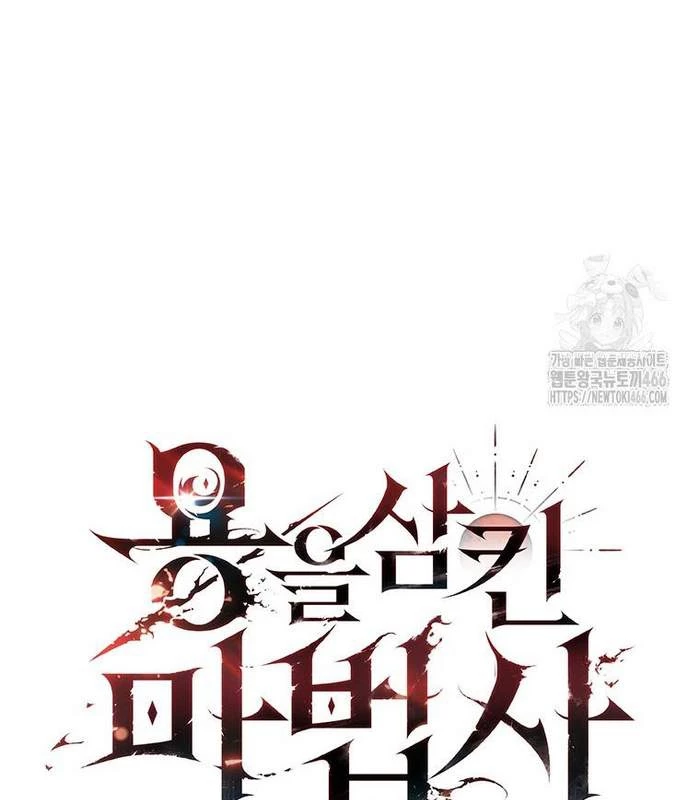 Thực Long Ma Pháp Sư Chapter 85 - 27