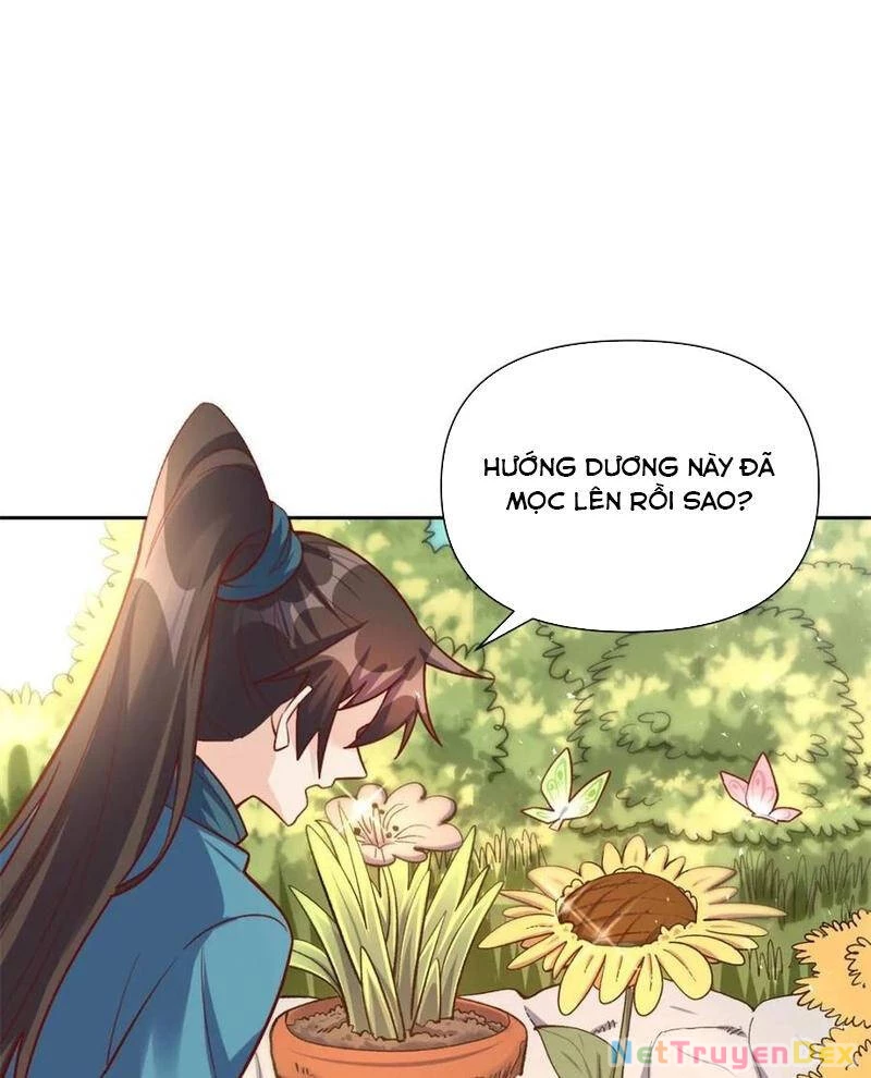 Nguyên Lai Ta Là Tu Tiên Đại Lão Chapter 505 - 36