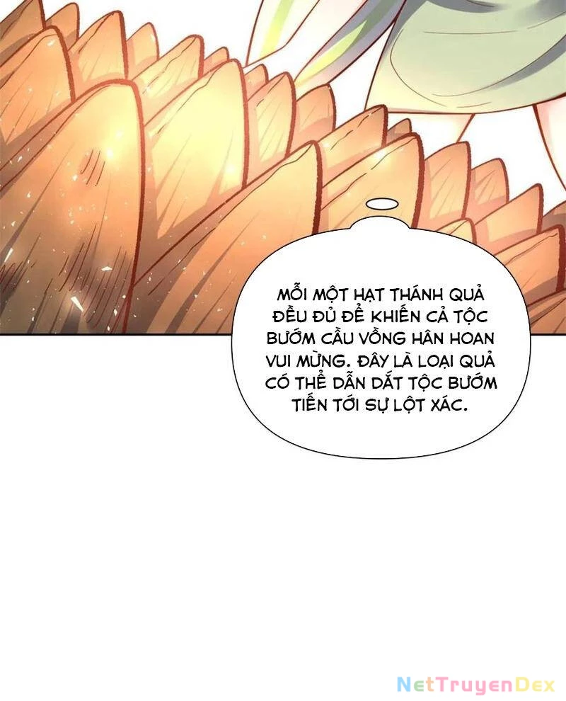 Nguyên Lai Ta Là Tu Tiên Đại Lão Chapter 505 - 49
