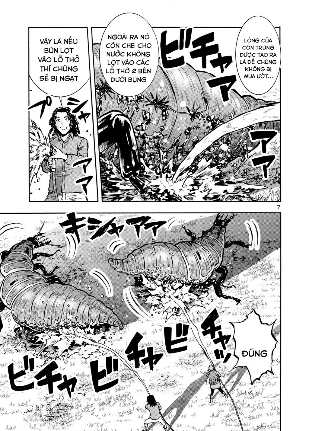 Siêu Đảo Côn Trùng Chapter 43 - 9