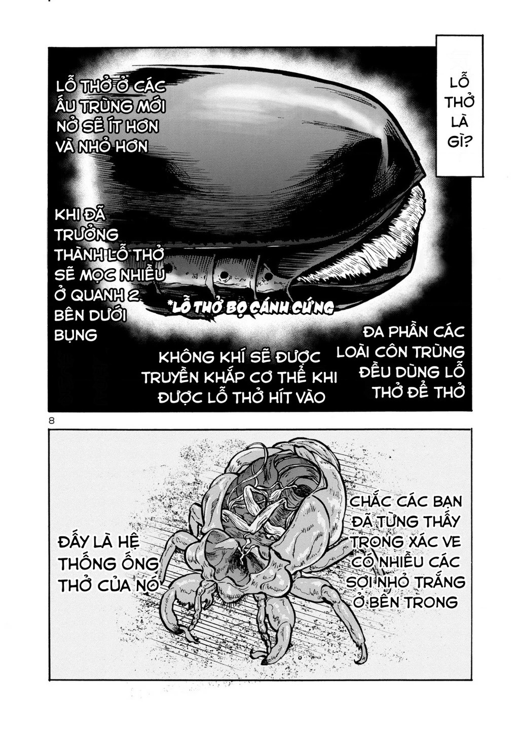 Siêu Đảo Côn Trùng Chapter 43 - 10