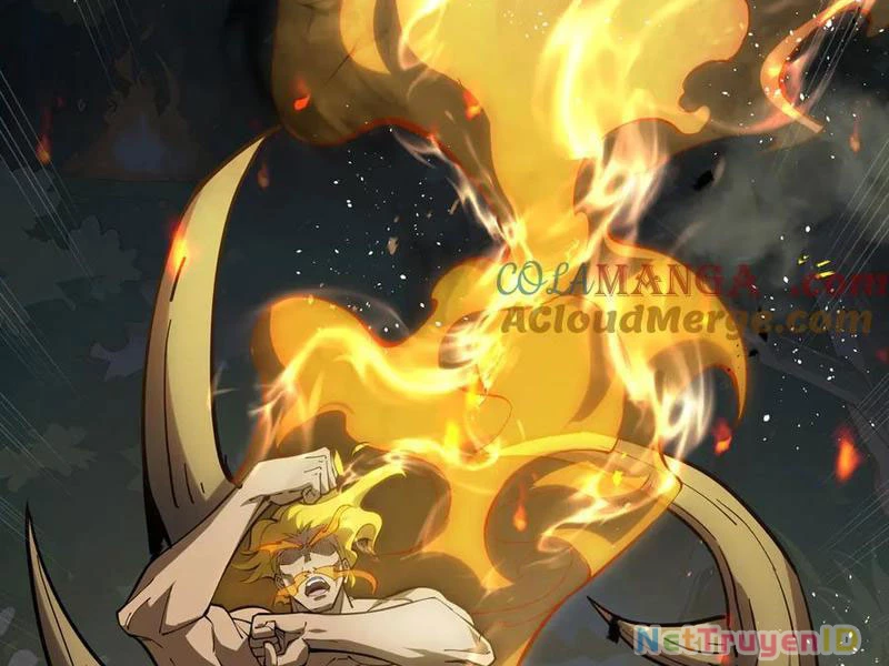 Ta Ký Kết Khế Ước Với Chính Mình Chapter 66 - 50