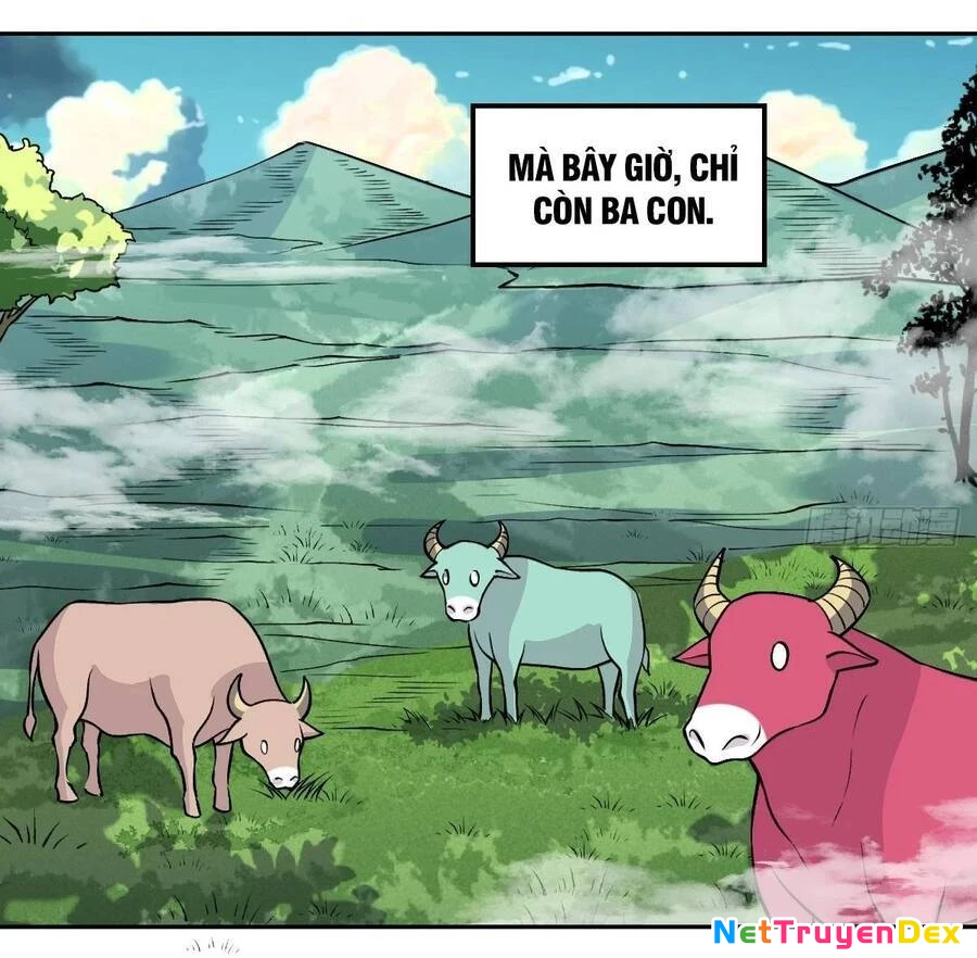 Nguyên Lai Ta Là Tu Tiên Đại Lão Chapter 189 - 5