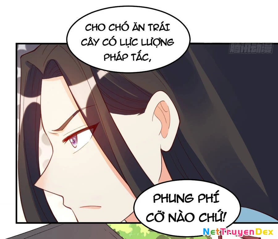 Nguyên Lai Ta Là Tu Tiên Đại Lão Chapter 205 - 70