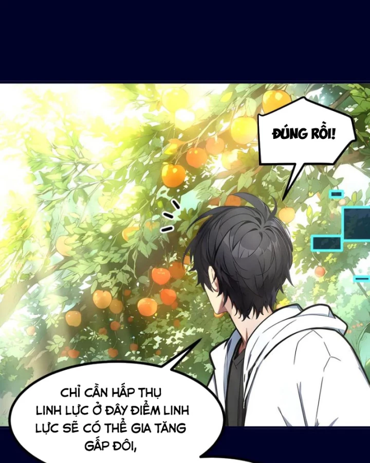 Ta Nắm Giữ Linh Khí Thức Tỉnh Chapter 48 - 31