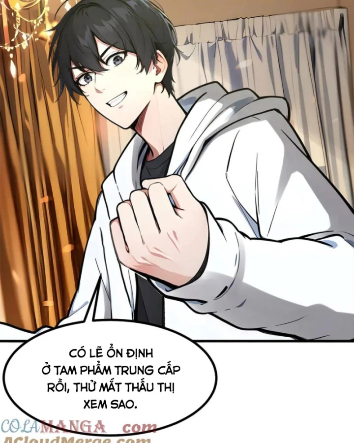 Ta Nắm Giữ Linh Khí Thức Tỉnh Chapter 48 - 40