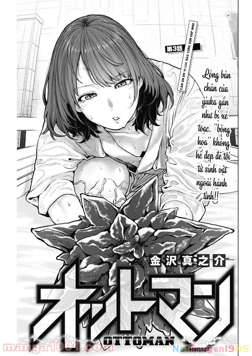 Ottoman: Ông Chồng Quốc Dân Chapter 3 - 2