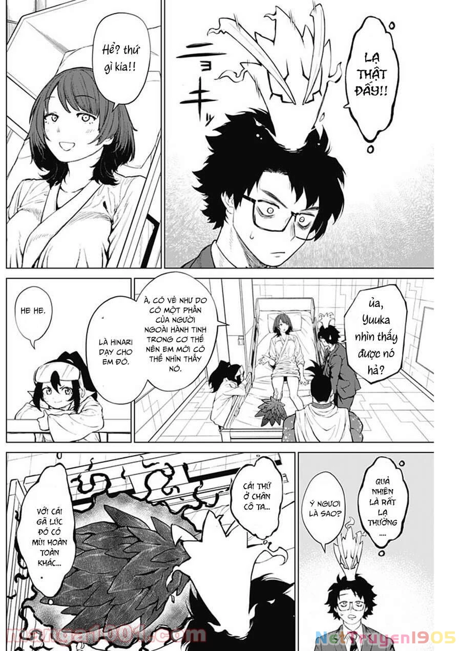 Ottoman: Ông Chồng Quốc Dân Chapter 4 - 13