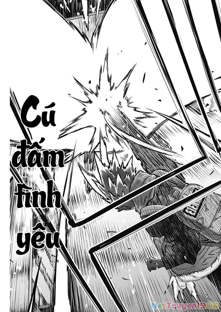 Ottoman: Ông Chồng Quốc Dân Chapter 12 - 16