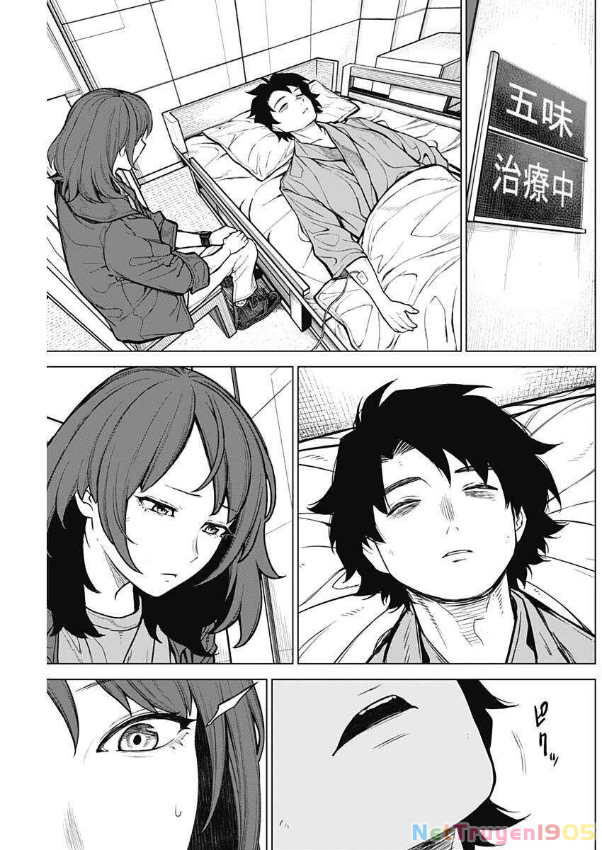 Ottoman: Ông Chồng Quốc Dân Chapter 19 - 8