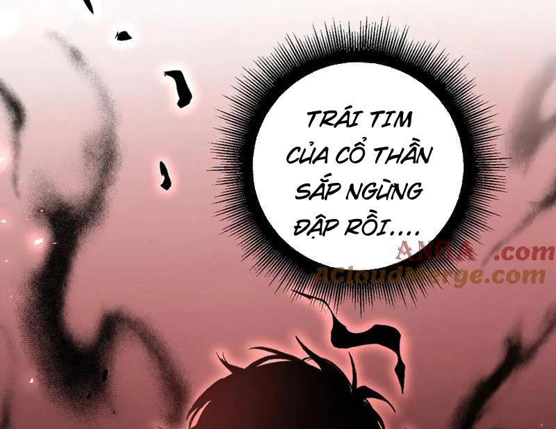 Ta Là Chúa Tể Trùng Độc Chapter 37 - 137