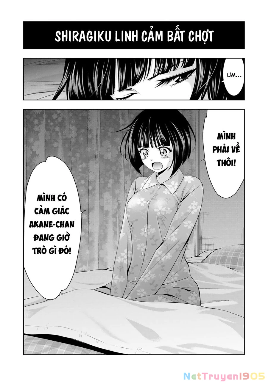 Quán Cà Phê Nữ Thần Chapter 177.5 - 5