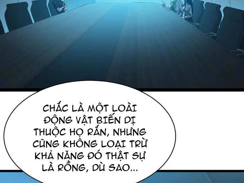 Linh Khí Khôi Phục: Từ Cá Chép Tiến Hóa Thành Thần Long Chapter 31 - 13