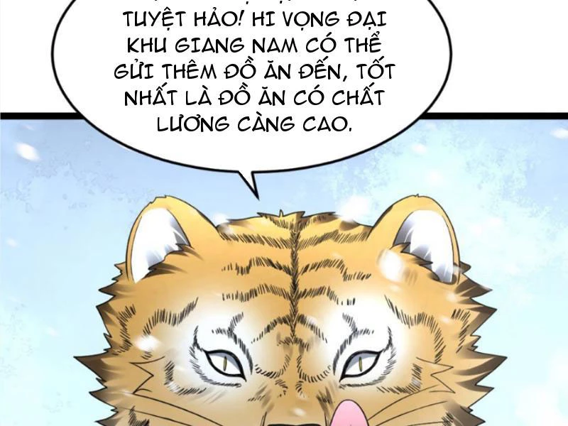 Toàn Cầu Băng Phong: Ta Chế Tạo Phòng An Toàn Tại Tận Thế Chapter 531 - 51