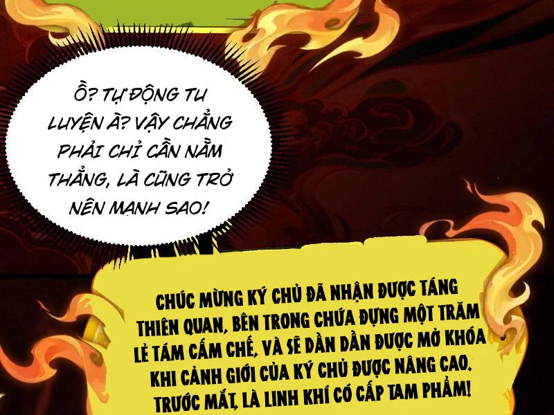 Gặp Mạnh Thì Mạnh, Ta Tu Vi Vô Thượng Hạn Chapter 5 - 19