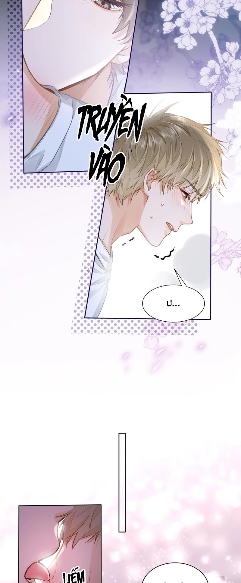 Tôi Thích Pheromone Của Cậu Chapter 20 - 12