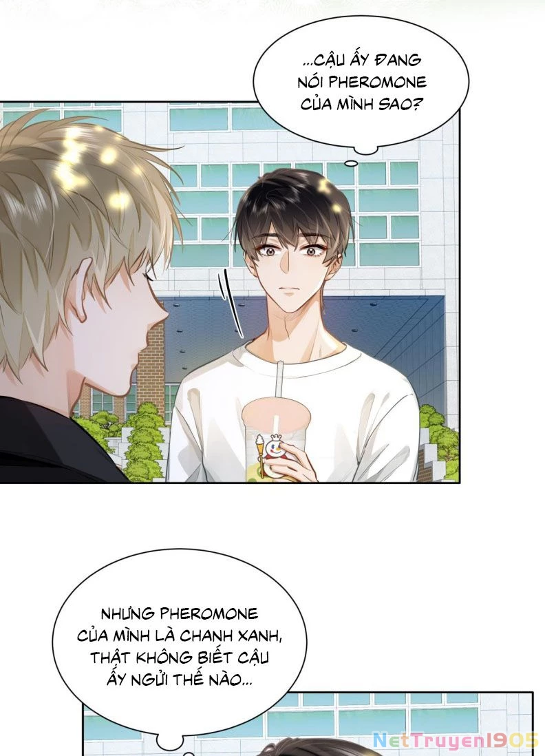 Tôi Thích Pheromone Của Cậu Chapter 23 - 29