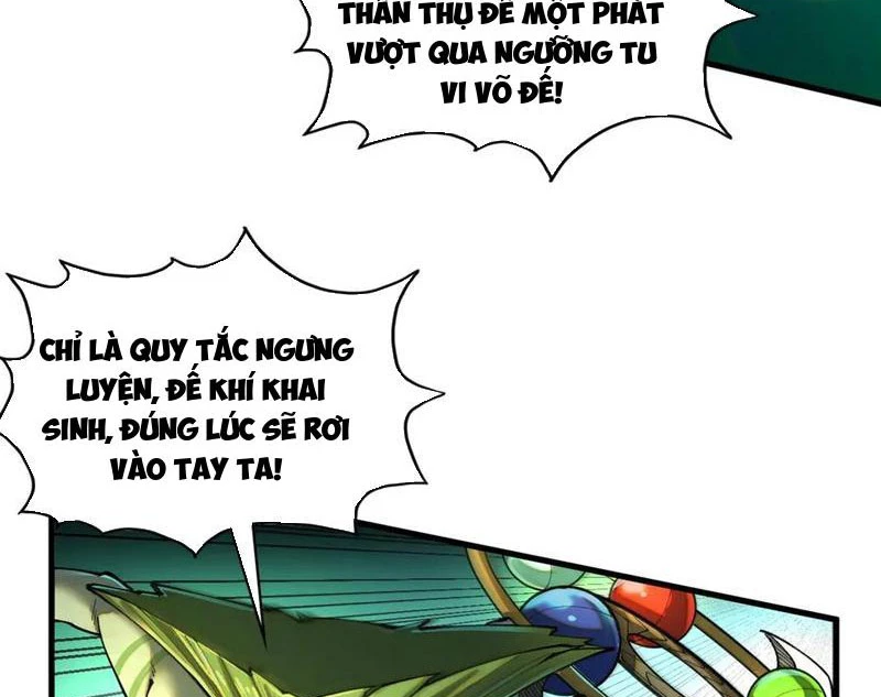 Vạn Cổ Chí Tôn Chapter 374 - 25